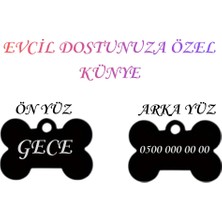 Feyza Design Özel Tasarımlı Çelik Köpek ve Kedi Isimlikleri, Renk Seçenekleriyle