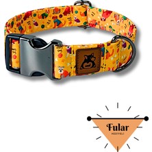Feyza Design Renkli Köpek Boyun Tasma, Yumuşak ve Rahat Tasarım