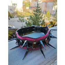 Feyza Design Renkli ve Şık Köpek Tasması, Konforlu ve Dayanıklı Tasarım