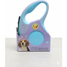 Feyza Design Dayanıklı ve Konforlu Köpek Tasması, Güvenli Gezintiler Için Ideal