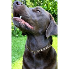 Feyza Design Siyah Kalp Detaylı Ayarlanabilir Köpek Boyun Tasması, Şık ve Rahat Kullanım