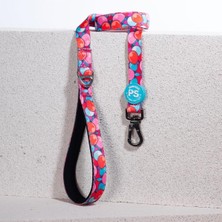 Feyza Design Renkli Köpek ve Kedi Gezdirme Uzatmalı Tasma Seti