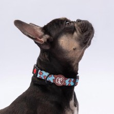 Feyza Design Ayı Desenli Köpek Boyun Tasması, Ayarlanabilir, M Boy (32-48CM)