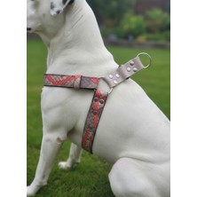 Feyza Design Orta ve Büyük Irk Köpek Göğüs Tasması, Ayarlanabilir, Bej ve Turuncu