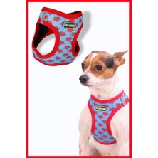 Feyza Design Renkli Kalp Desenli Köpek Göğüs Tasması, Konforlu ve Şık Tasarım