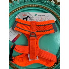 Feyza Design Yumuşak ve Rahat Köpek ve Kedi Gövde Tasması - Güvenle Takın