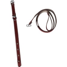 Feyza Design Konforlu Orta Boy Köpek Tasması, Güvenli ve Şık Tasarım