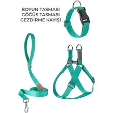 Feyza Design Konforlu Köpek Göğüs Tasması, Rahat Gezdirme ve Boyun Koruma