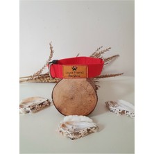 Feyza Design Canlı Kırmızı Köpek Boyun Tasması, 30-45 Cm, Şık ve Rahat Kullanım