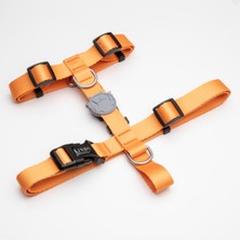 Feyza Design Sağlıklı ve Konforlu H Tipi Göğüs Tasması, Dayanıklı ve Şık Tasarım