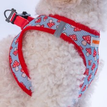 Feyza Design Nefes Alabilir Airmesh Kedi Köpek Göğüs Tasması, Konfor ve Güvenlik