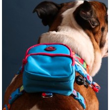 Feyza Design Şık ve Kullanışlı Pawlook Tasarımlı Sırt Çantası, Günlük Rahatlık Için Ideal