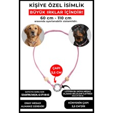 Feyza Design Kişiye Özel Yuvarlak Çelik Isimlik Kolye, Köpek ve Kedi Için Hafif Zincir