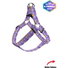 Feyza Design Küçük Irklar Için Siyah ve Sarı Köpek Göğüs Tasması ve Gezdirme Ipi