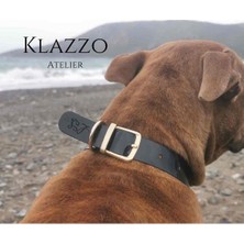 Feyza Design Şık ve Ayarlanabilir Deri Köpek Tasması, Güvenle Kullanım