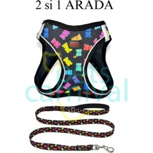 Feyza Design Air-Mesh Köpek ve Kedi Göğüs Tasması ile Gezdirme Seti, Konfor ve Şıklık