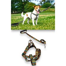 Feyza Design Konforlu Köpek Göğüs Tasması ve Gezdirme Kayışı Seti