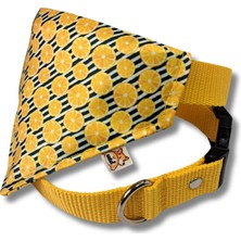 Feyza Design Renkli ve Şık Fularlı Köpek Boyun Tasması, Rahat ve Şık Tasarım