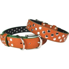 Feyza Design Büyük Boy Deri Köpek Tasması, 55 Cm, Şık ve Dayanıklı Tasarım