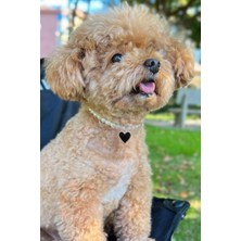 Feyza Design Sevimli Kalpli Cam Incili Ayarlanabilir Köpek Boyun Tasması