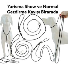 Feyza Design Köpek Yarışma ve Eğitim Tasma, Show ve Antrenman Leash, Dayanıklı Tasma