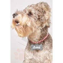 Feyza Design Pembe Incili Köpek Tasması ve Kolyesi, Şık ve Rahat Sekilde Kullanım