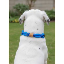 Feyza Design Ayarlanabilir Köpek Boyun Tasması, Her Irk Için Şık ve Güvenli Tasarım