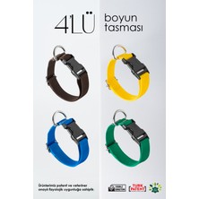 Feyza Design 4'lü Ayarlanabilir Köpek Boyun Tasması Seti, Sağlam ve Şık Tasarım