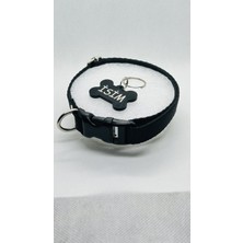 Feyza Design Renkli Köpek Tasması ve Isimlikli, Güvenli ve Şık Tasarım