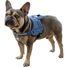 Feyza Design Yumuşak ve Dayanıklı Belden Köpek Tasması, 45-60 Cm, 15 mm Genişlik