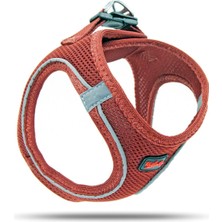 Feyza Design Nefes Alabilen Air-Mesh Köpek Göğüs Tasması, Rahat ve Şık Tasarım