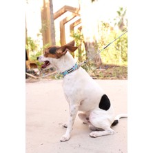 Feyza Design Ayarlanabilir Köpek Tasma ve Gezdirme Kayışı Seti, Geometrik Desen