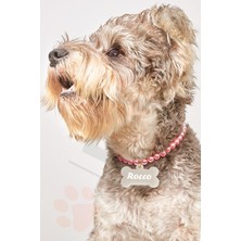 Feyza Design Pembe Incili Köpek Tasması ve Kolyesi, Şık ve Konforlu Tasarım