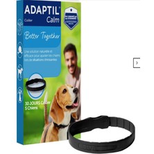 Feyza Design Köpek Tasma, Rahat ve Güvenli, Orta ve Büyük Boy, Konforlu Tasarım