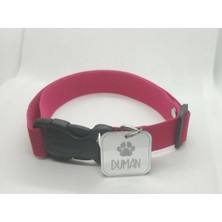 Feyza Design Yavru ve Orta Irk Köpekler Için Renkli Isimlik Tasma Seti