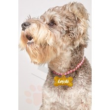 Feyza Design Pembe Inci Detaylı Köpek Tasması ve Kolyesi Seti, Şık ve Rahat Kullanım