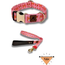 Feyza Design Yumuşak ve Şık Köpek Boyun Tasması ve Gezdirme Seti, Hediye Fular ile