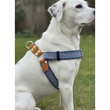 Feyza Design Orta ve Büyük Irk Köpek Göğüs Tasma, Ayarlanabilir, Kolon ve Deri Mavi-Kahverengi
