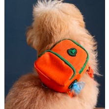 Feyza Design Şık ve Kullanışlı Tasarım Sırt Çantası, Günlük ve Seyahat Için Ideal