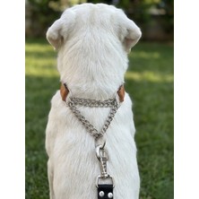 Feyza Design Ayarlanabilir Köpek Boyun Tasması, Orta ve Büyük Irklar Için Deri Çift Zincir