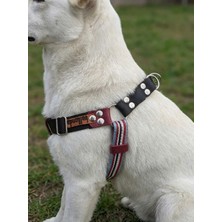 Feyza Design Renkli ve Siyah Köpek Göğüs Tasması, Orta ve Büyük Irklar Için Ayarlanabilir