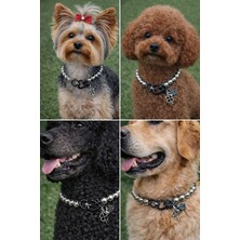 Feyza Design Şık Köpek Kolyesi, Taraftar Temalı, Hayvanseverler Için Özel Tasarım