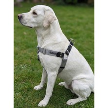 Feyza Design Ayarlanabilir Orta ve Büyük Irk Köpek Göğüs Tasması Gri