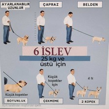 Feyza Design Eller Serbest Köpek Gezdirme Ipi, 11 Mm, Rahat ve Güvenli Kullanım