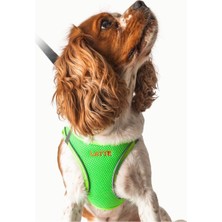 Feyza Design Kişiye Özel Airmesh Yeşil Göğüs Tasması, Rahat ve Şık Tasarım