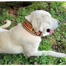Feyza Design Isimli Kangal Köpek Tasması, Hakiki Manda Derisi, 2 Zilli, Özel Tasarım