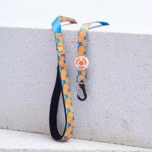 Feyza Design Narenciye Desenli Kedi ve Köpek Sevk ve Gezdirme Kayışı, Uzatmalı Tasma