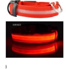 Feyza Design LED Işıklı Boyun Tasması, Ayarlanabilir ve Parlak Tasarım