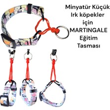 Feyza Design Yumuşak ve Hafif Küçük Irk Martingale Eğitim Tasma, Konfor ve Güvenlik