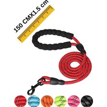 Feyza Design Sağlam Köpek Eğitim Tasması ve Kayışı, 150 cm x 1.2 Cm, Rahat Gezdirme